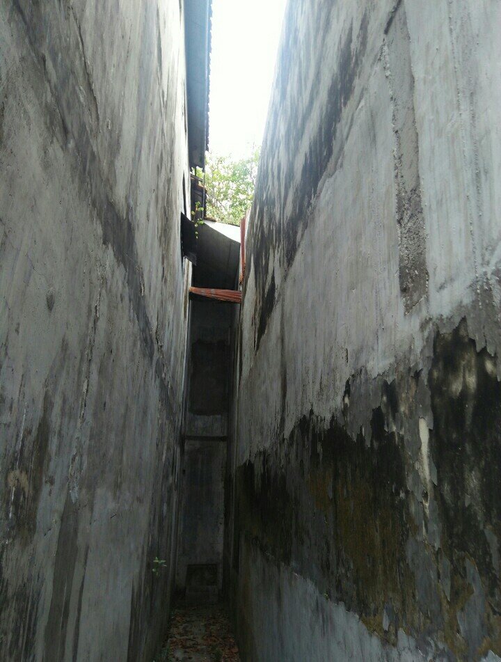 DIJUAL MURAH RUMAH POJOK 2Lt DI TEPI JALAN RAYA SUKARNO HATTA PASURUAN KOTA, JATIM - 9