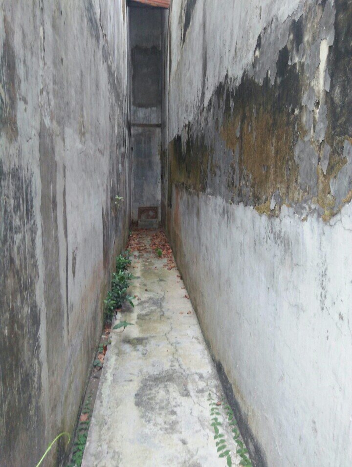 DIJUAL MURAH RUMAH POJOK 2Lt DI TEPI JALAN RAYA SUKARNO HATTA PASURUAN KOTA, JATIM - 5