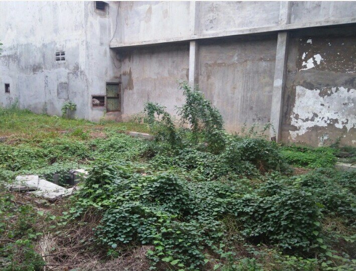 DIJUAL MURAH RUMAH POJOK 2Lt DI TEPI JALAN RAYA SUKARNO HATTA PASURUAN KOTA, JATIM - 14