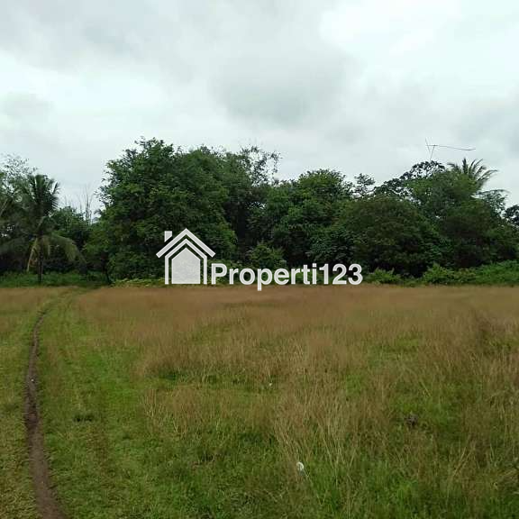 jual tanah dekat BSD - 3