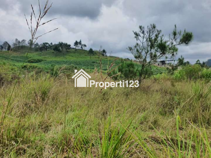 Dijual Tanah 14.387m2 Daerah Pengambatan, Jalan Gajah Bobok, Kec. Merek, Kabupaten Karo, Sumatera Utara 22173 Dekat Dengan Loken Resort - 4