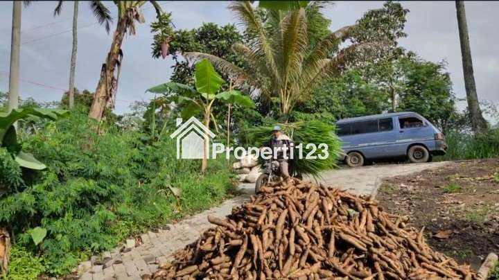 Rumah + Tanah + Kandang Ternak Kambing Malang - 4