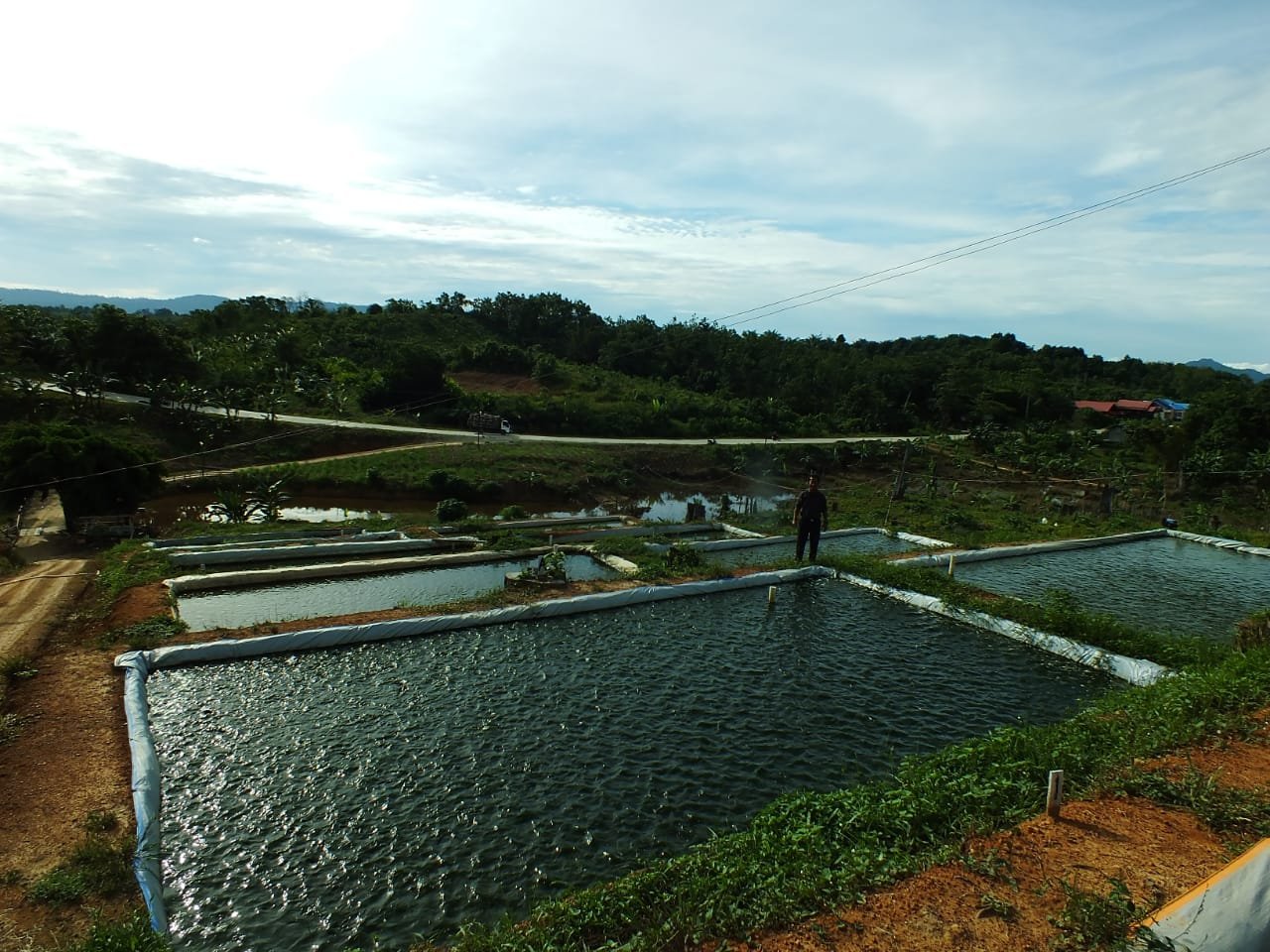 Dijual Cepat Tanah Lokasi Strategis di SEPAKU 1,Depan SMK Negeri 1 Penajam Paser - 3