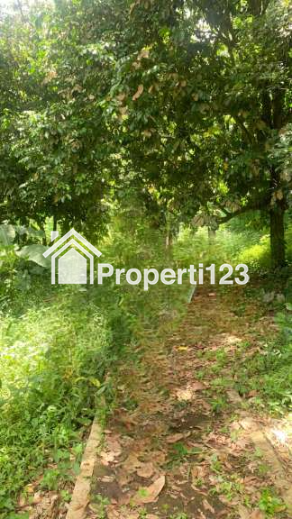 Villa Jalan Raya Cikidang – Pamuruyan Sukasirna Cibadak Sukabumi - 11