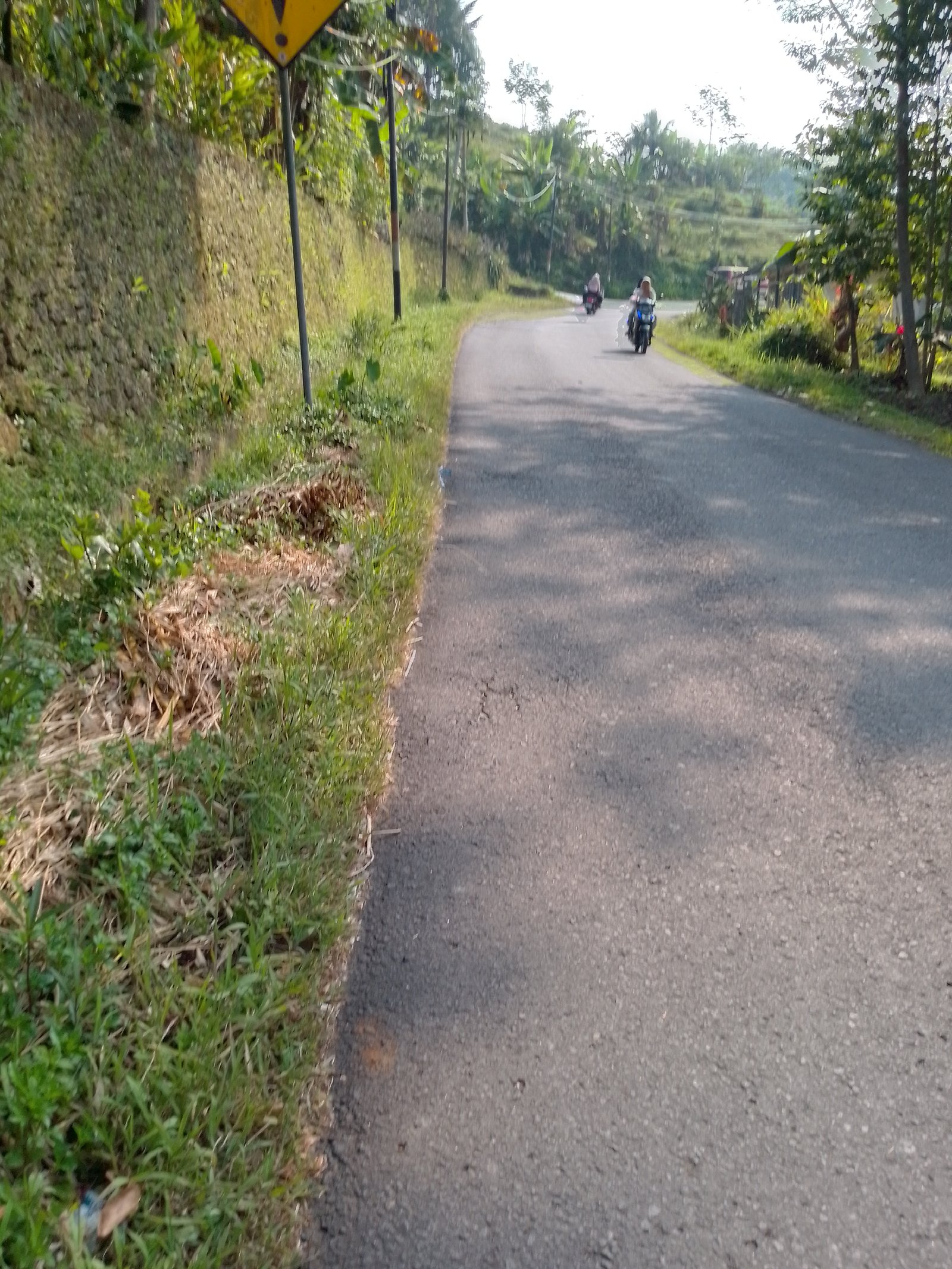 Dijual Tanah Kebun Produktif Pinggir Jalan Raya Kabupaten - 5