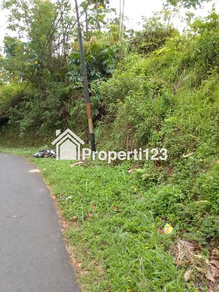 Dijual Tanah Kebun Produktif Pinggir Jalan Raya Kabupaten - 3