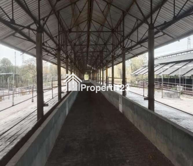Dijual Lahan Perusahaan Peternakan Menarik seluas 60 Ha dengan Fasilitas Unggulan di Probollinggo - 3