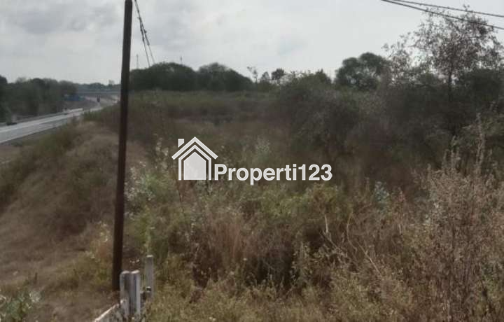 Dijual Lahan Perusahaan Peternakan Menarik seluas 60 Ha dengan Fasilitas Unggulan di Probollinggo - 10