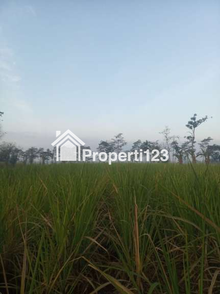 Tanah Siap Bangun Dengkol di Singosari, Malang, Jawa Timur - 2