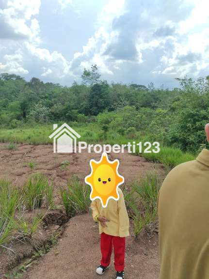 Dijual tanpa perantara, tanah dengan luas 2,3 ha bersertifikat SHM - 7