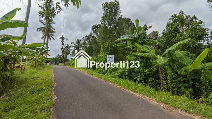 (BWI AI.013) Dijual Tanah di Dusun Ledok Desa Jelun Kec. Licin Kab. Banyuwangi - 2