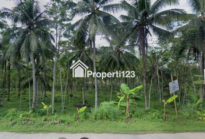 Tanah STRATEGIS di pinggir jalan raya pangandaran - 1