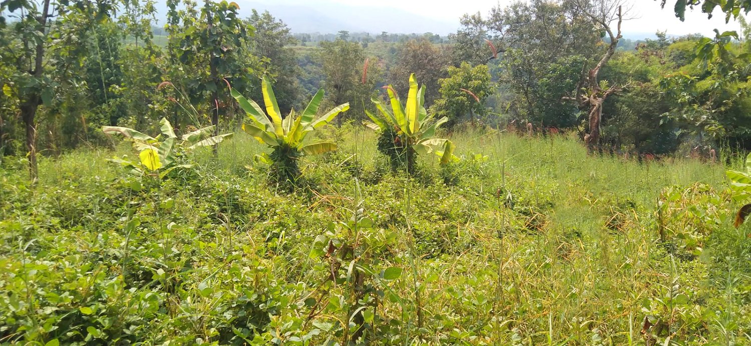 TANAH KOMERSIAL DI SUKAMERANG KERSAMANAH KABUPATEN GARUT - 2