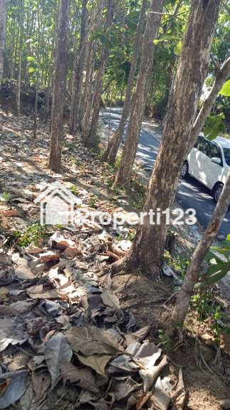 Jual Secepatnya Tanah + Jati - 4