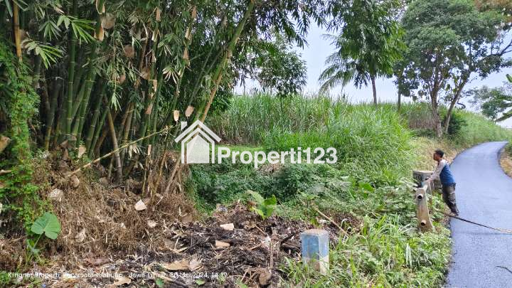 Tanah dijual butuh uang pinggir jalan pakis malang - 4