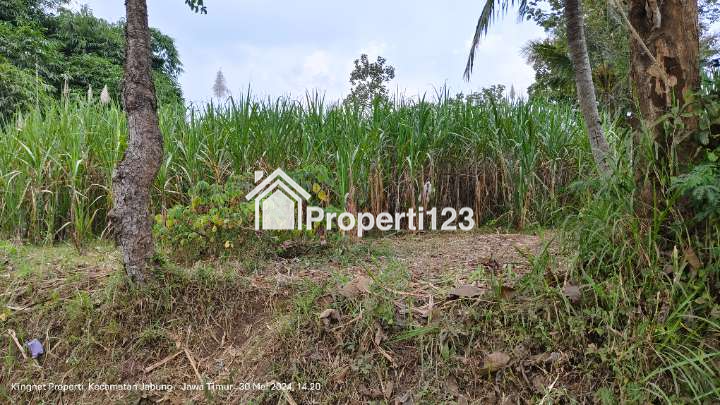 Tanah dijual butuh uang pinggir jalan pakis malang - 3