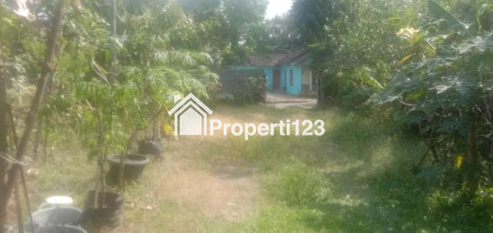 TANAH DIJUAL TANPA PERANTARA DI PURWOMARTANI JOGJA - 5