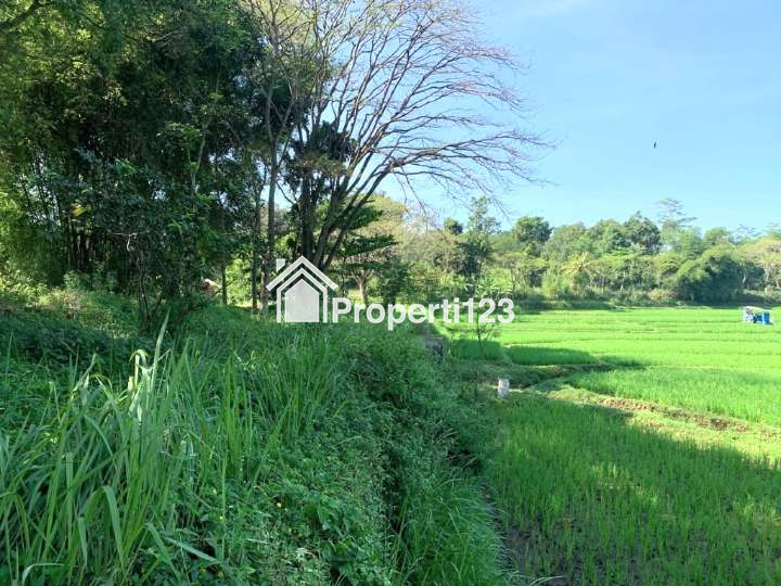 Tanah Boleh Beli Sesuai Kebutuhan di Cibinong Hilir Cilaku Cianjur - 2