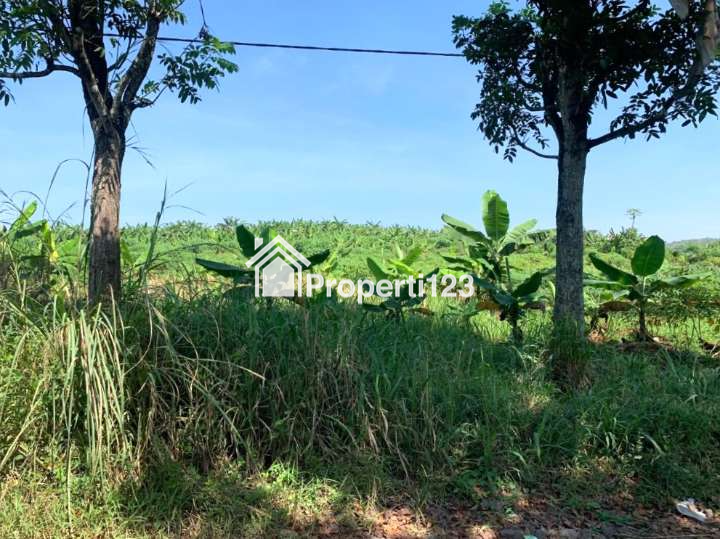 Tanah Boleh Beli Sesuai Kebutuhan di Cibinong Hilir Cilaku Cianjur - 5