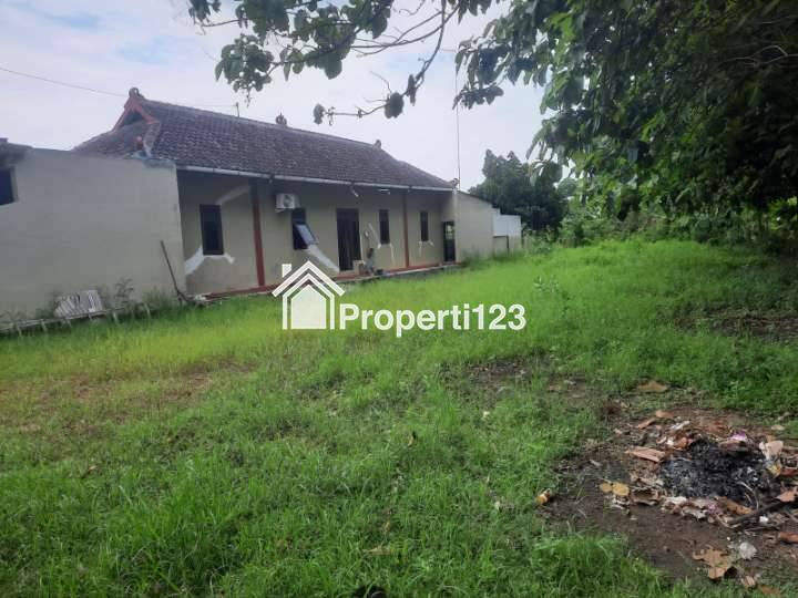 Tanah Margoasri Kota Sragen Tanah Strategis Sragen - 3