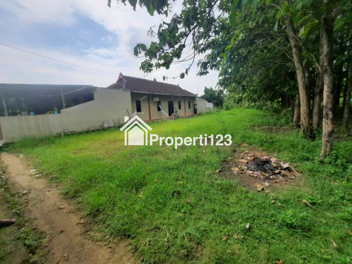 Tanah Margoasri Kota Sragen Tanah Strategis Sragen - 2