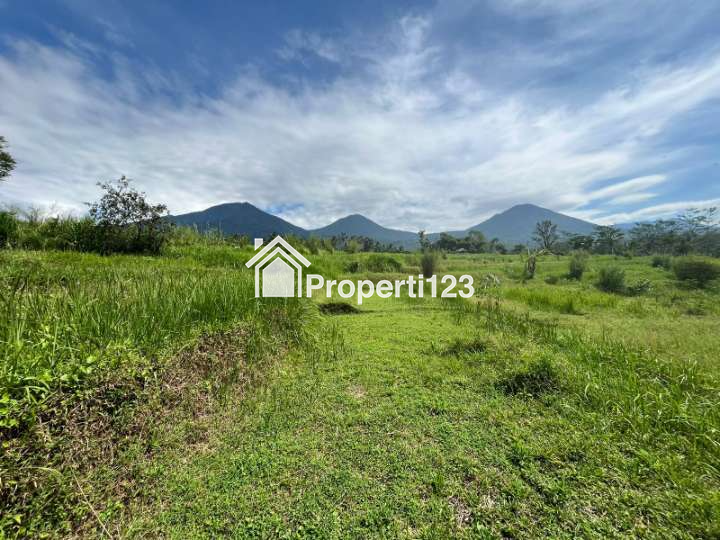 VERY CHEAP !!! Land For Sale or Rent of 32 are / 3200 m2 - 3