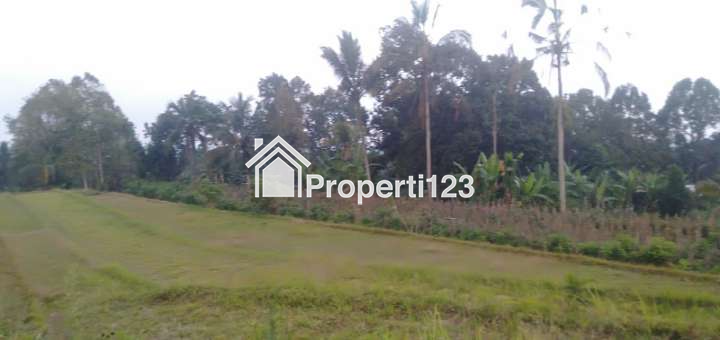 VERY CHEAP !!! Land For Sale or Rent of 32 are / 3200 m2 - 4