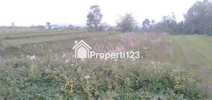 VERY CHEAP !!! Land For Sale or Rent of 32 are / 3200 m2 - 9