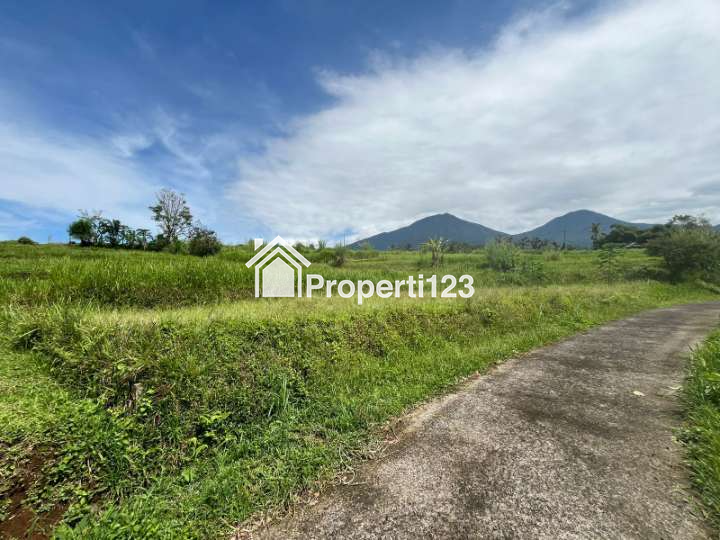 VERY CHEAP !!! Land For Sale or Rent of 32 are / 3200 m2 - 2