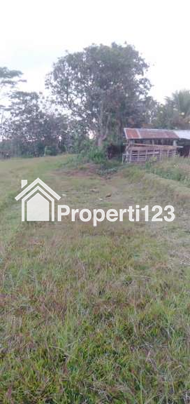 VERY CHEAP !!! Land For Sale or Rent of 32 are / 3200 m2 - 7