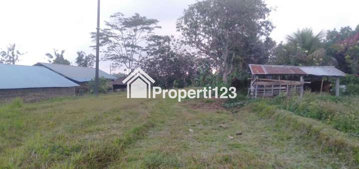 VERY CHEAP !!! Land For Sale or Rent of 32 are / 3200 m2 - 6