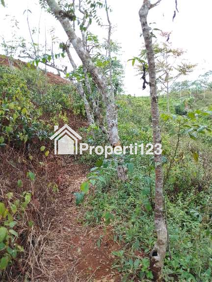 Dijual tanah pinggir jalan harga murah - 3