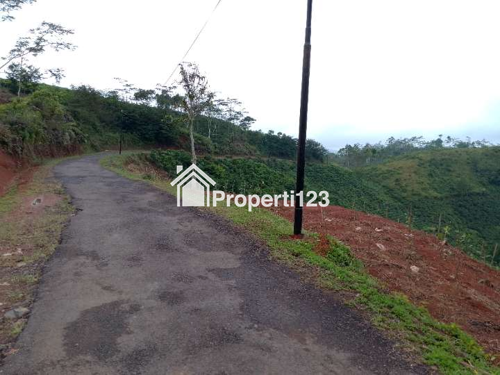 Dijual tanah pinggir jalan harga murah - 2