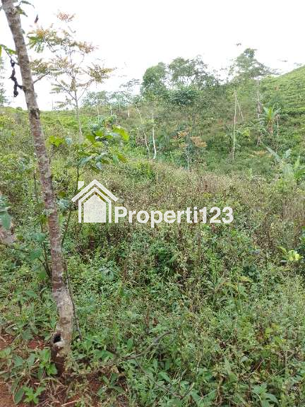 Dijual tanah pinggir jalan harga murah - 4