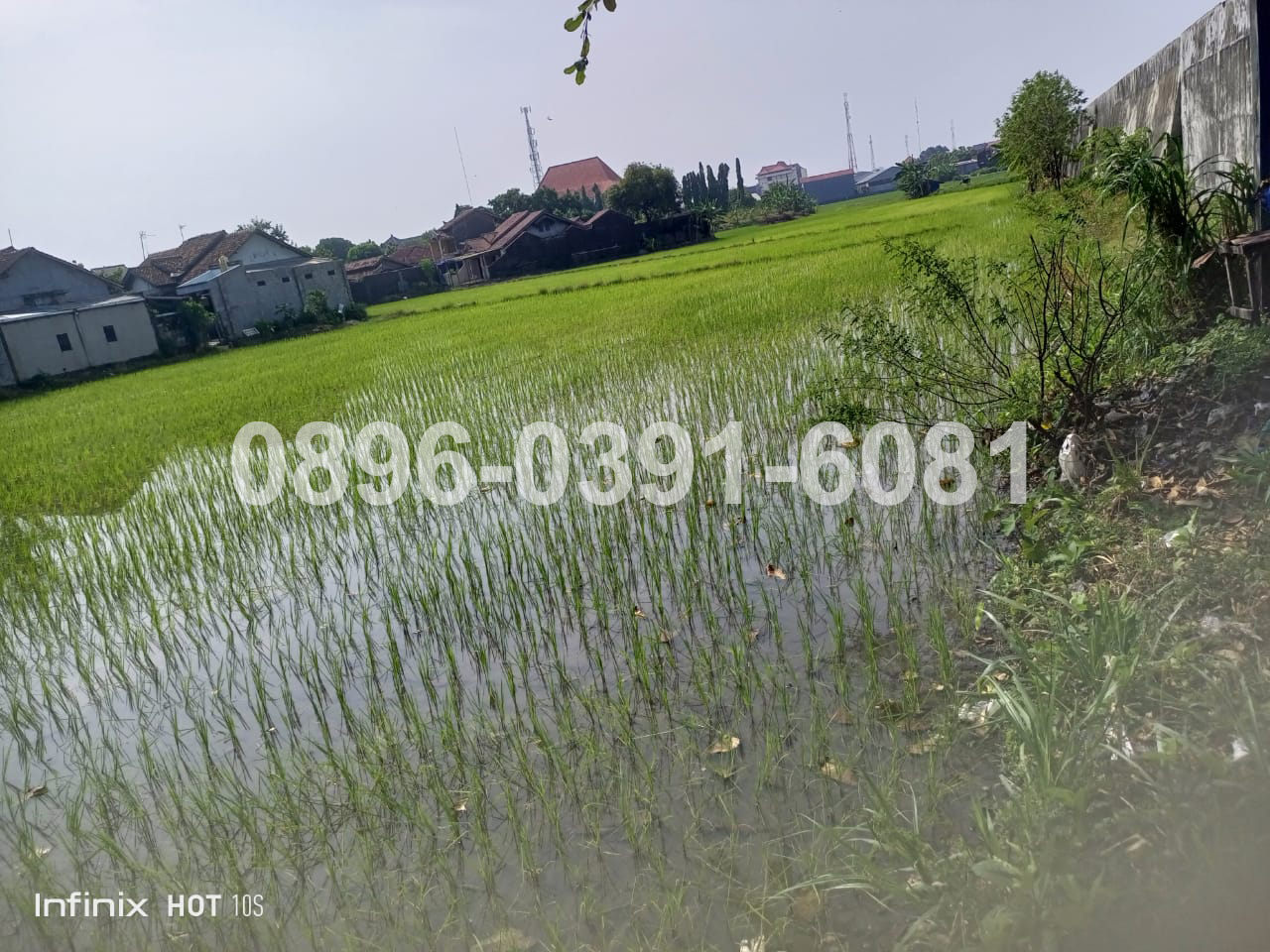 Tanah dikawasan strategis tengah kota Jepara - 7