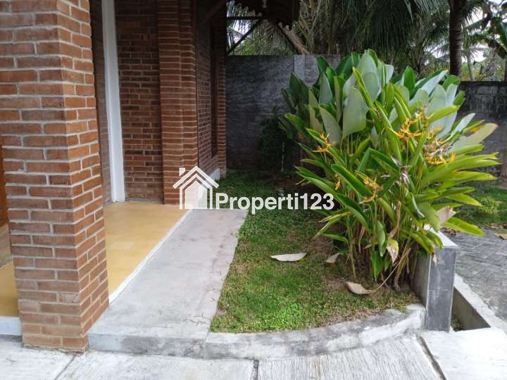 Dijual Rumah Klasik Dengan kolam renang Dekat kota Jogja cocok untuk homestay - 5