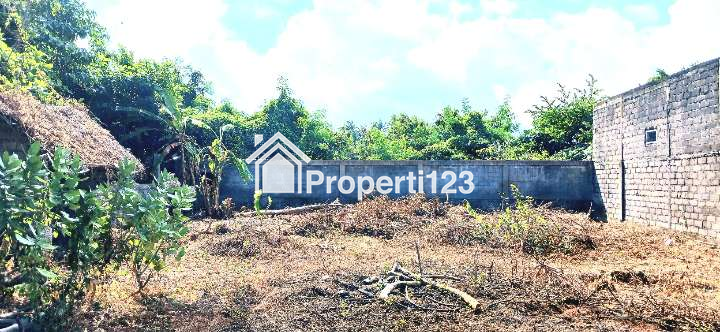 Dijual tanah 1000 m2 jl Ida Bagus Mantra Saba Gianyar Bali - 4