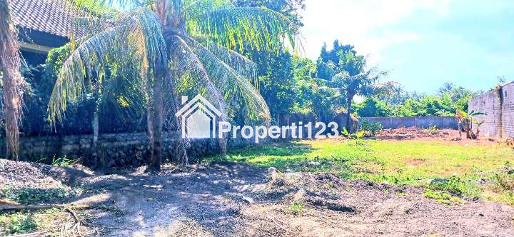 Dijual tanah 1000 m2 jl Ida Bagus Mantra Saba Gianyar Bali - 3