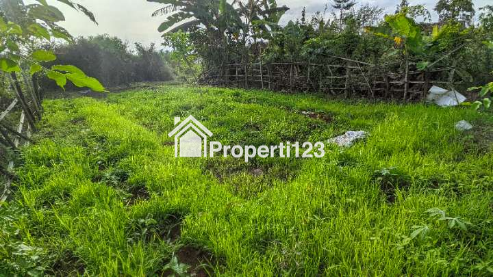 (BWI A.400) Dijual Tanah Di Desa Genteng Wetan, Kec. Genteng Kab. Banyuwangi - 4