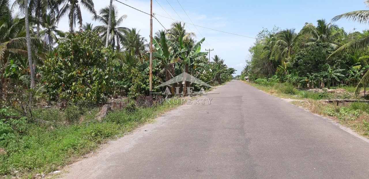 Tanah Mempawah, Hilir Kalbar, Kalimantan Barat - 5