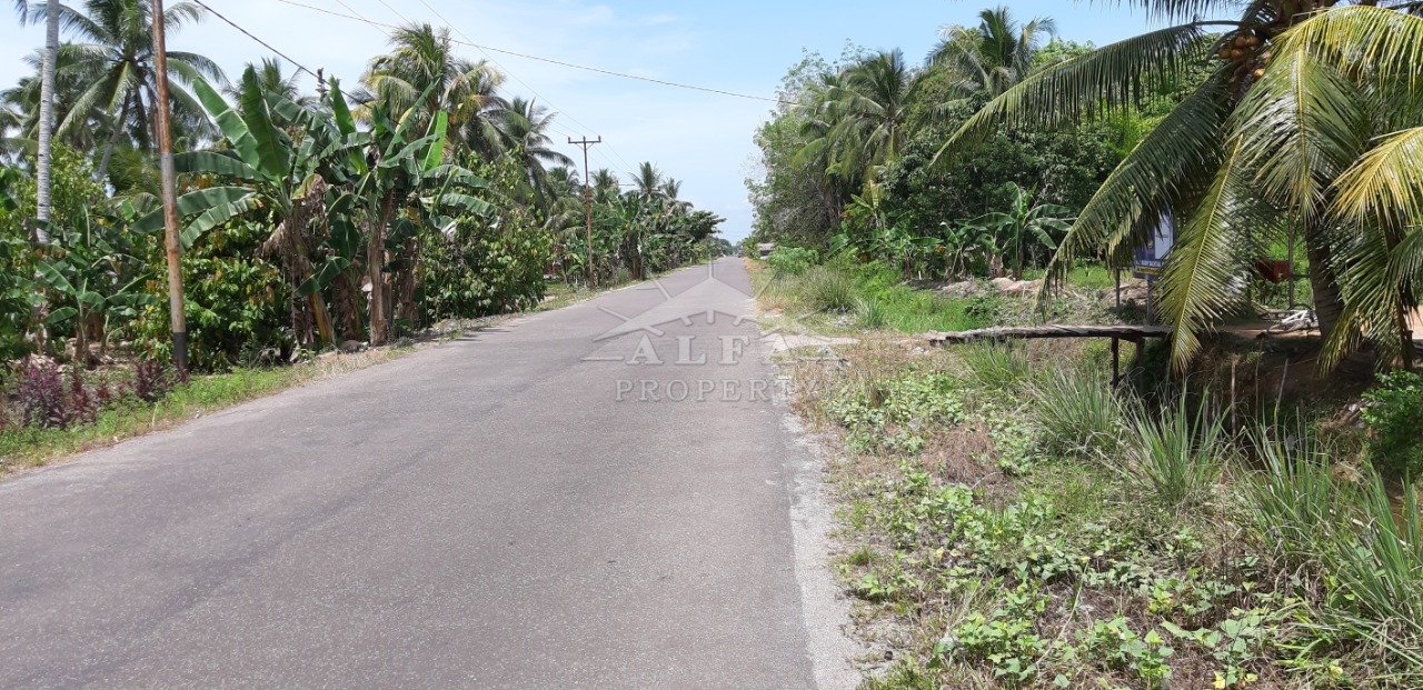 Tanah Mempawah, Hilir Kalbar, Kalimantan Barat - 4