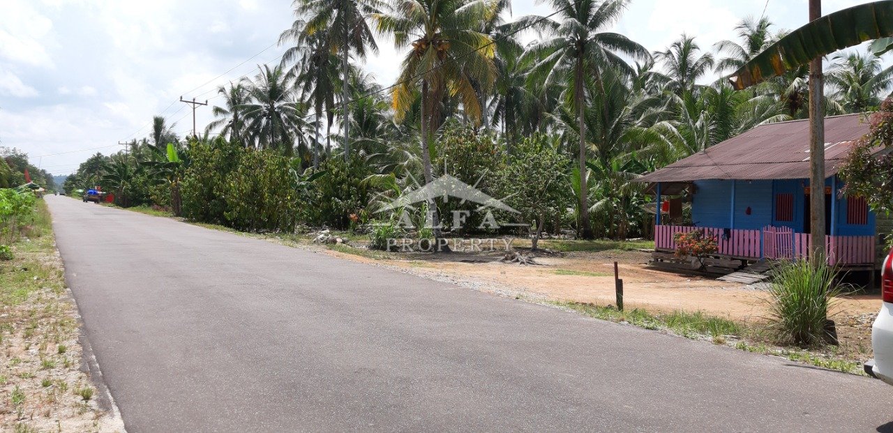 Tanah Mempawah, Hilir Kalbar, Kalimantan Barat - 7