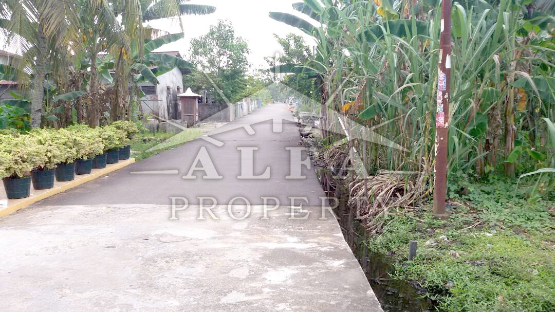 Tanah Usaha Bersama, Pontianak, Kalimantan Barat - 2