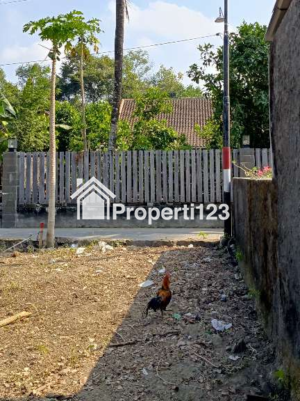 Rumah Minimalis Modern di Kalasan, Sleman - 6