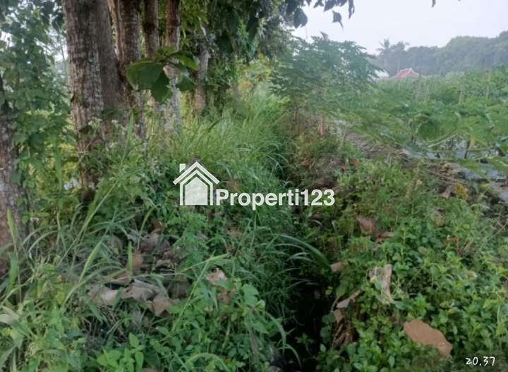 Dijual Tanah di Cebongan Mlati Cocok Bangun Vila Dekat Alun-Alun Denggung - 2