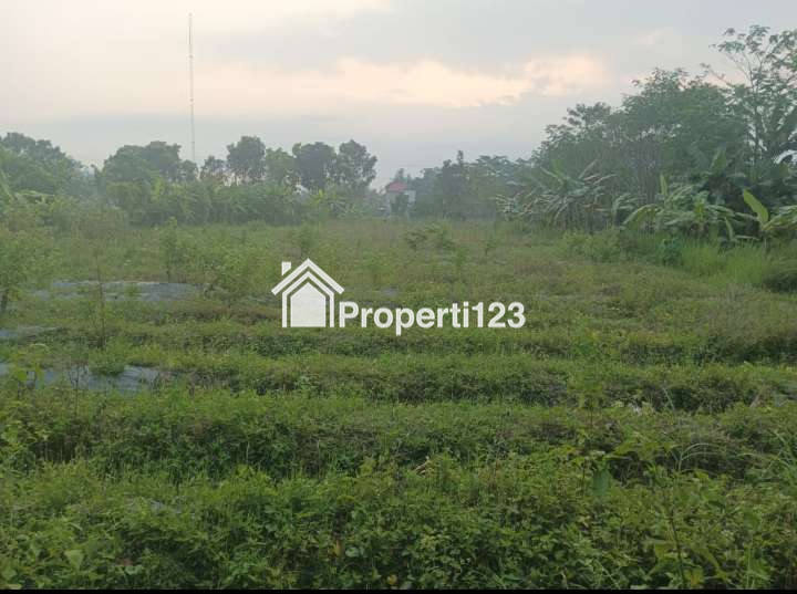 Dijual Tanah di Cebongan Mlati Cocok Bangun Vila Dekat Alun-Alun Denggung - 4