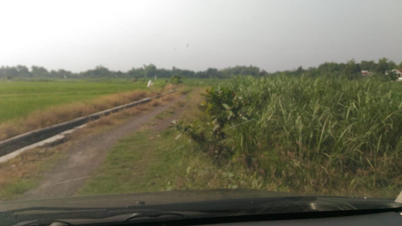 Dijual Tanah Lahan Tebu Krembung Sidoarjo - 2