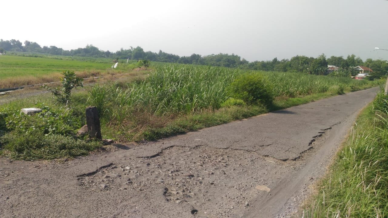 Dijual Tanah Lahan Tebu Krembung Sidoarjo - 1