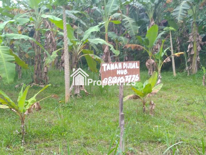 Dijual Rumah Griya Mangli Indah + Tanah Ajung-Jenggawah Kabupaten Jember. - 12
