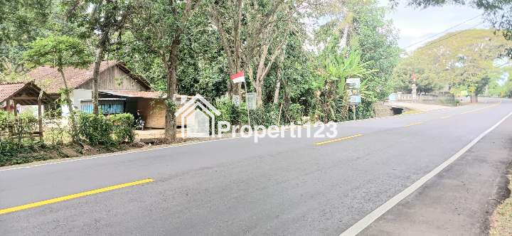 Disewakan tanah 1 hektar 8 arejl Denpasar-Gilimanuk Melaya Jembrana Bali - 2